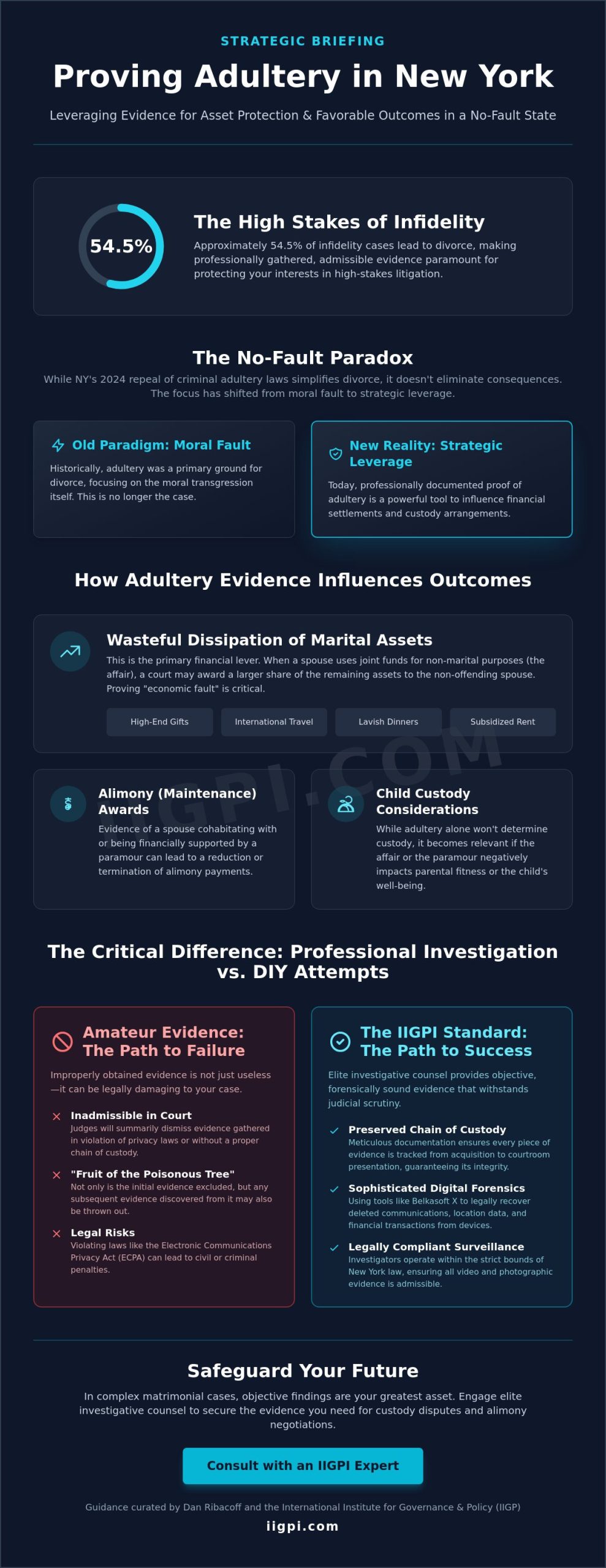 How to Get Proof of Adultery in NY: Professional Protocols by Dan Ribacoff and IIGPI - Infographic