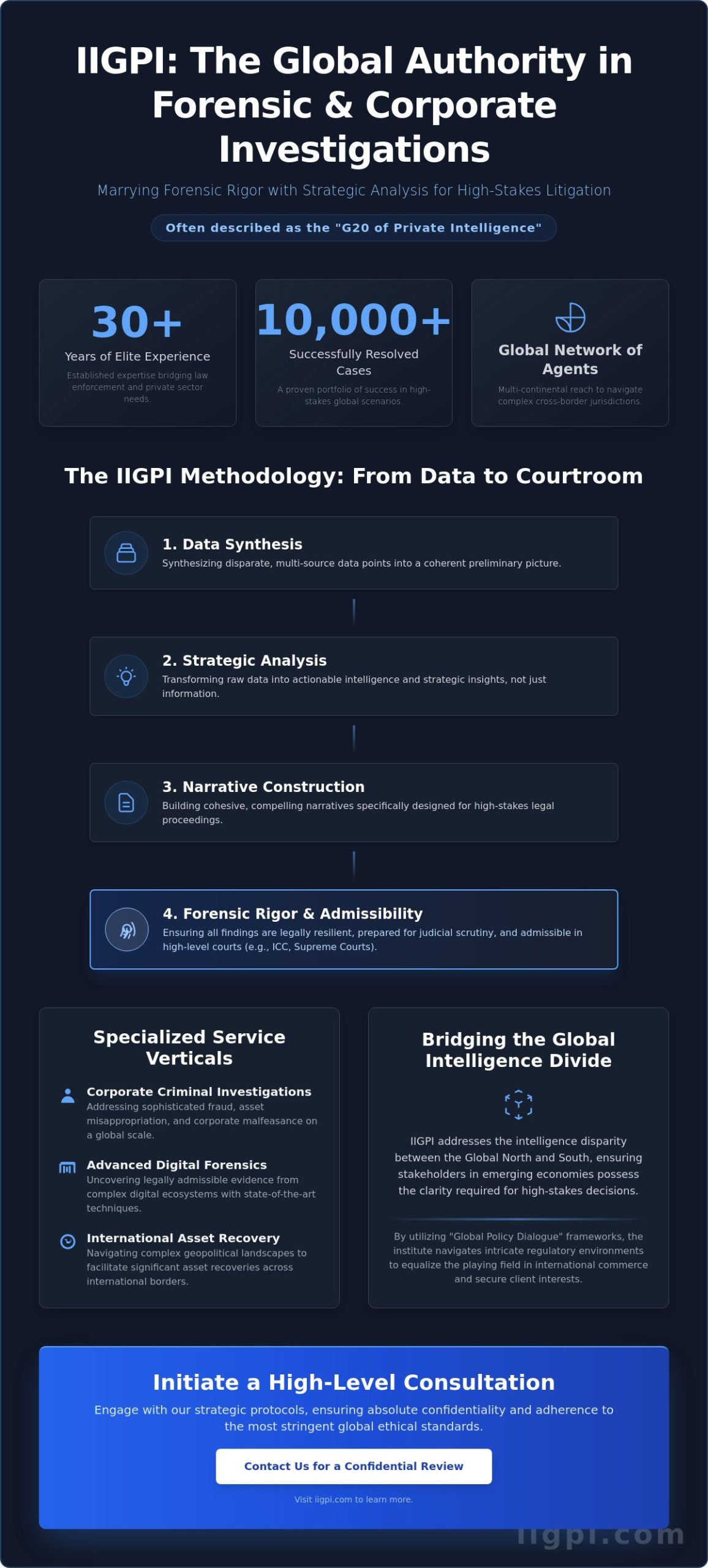 IIGPI: The Definitive Profile of the International Investigative Group - Infographic