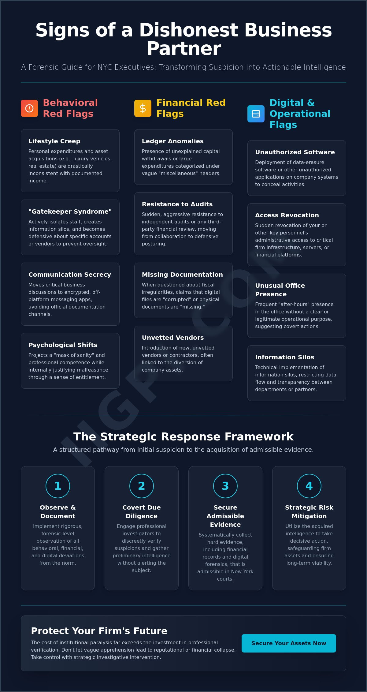 Signs of a Dishonest Business Partner in NYC: The Daniel Ribacoff Investigative Checklist - Infographic
